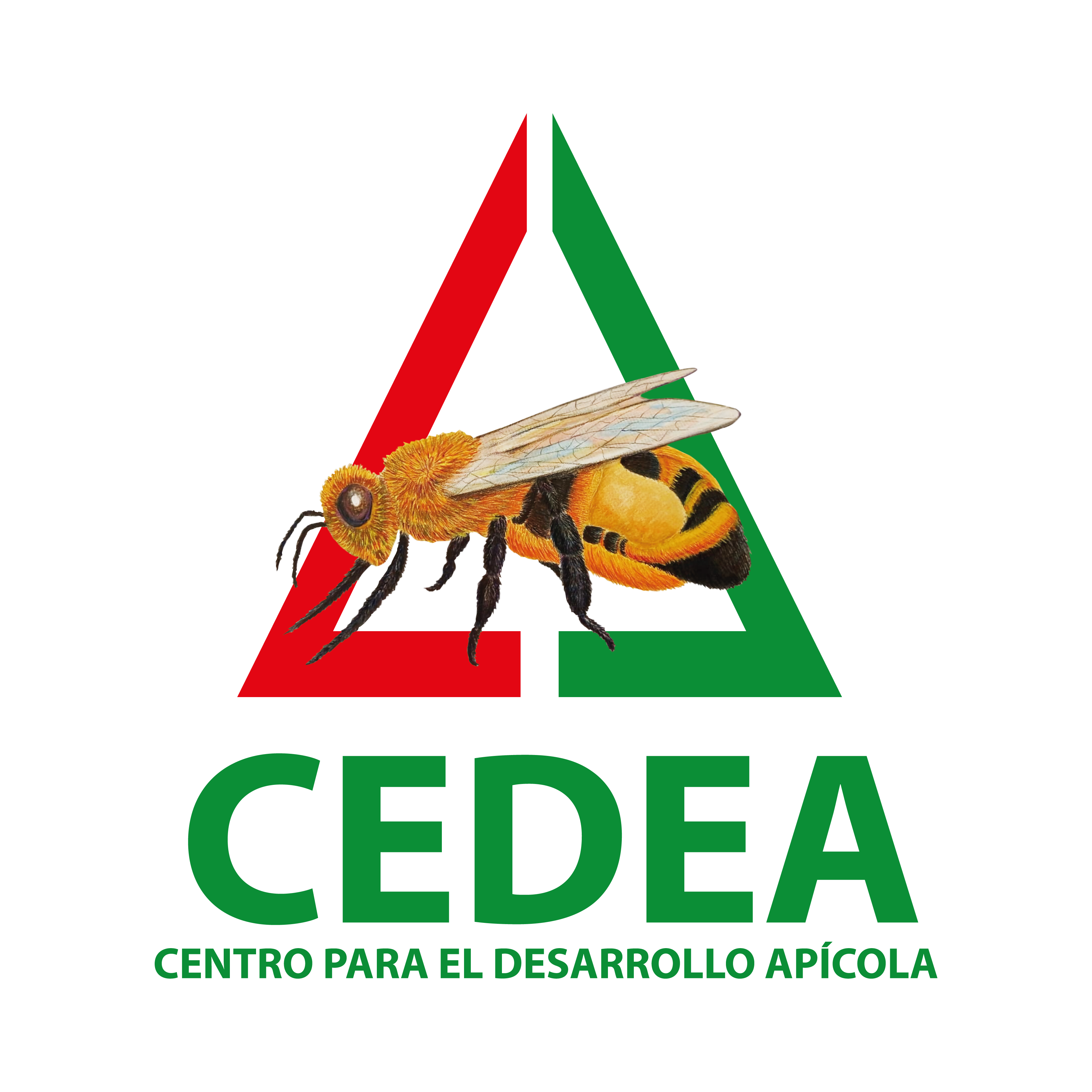 Apicola Cedea